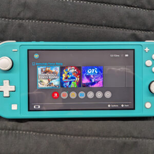 Nintendo Switch Lite Console Only