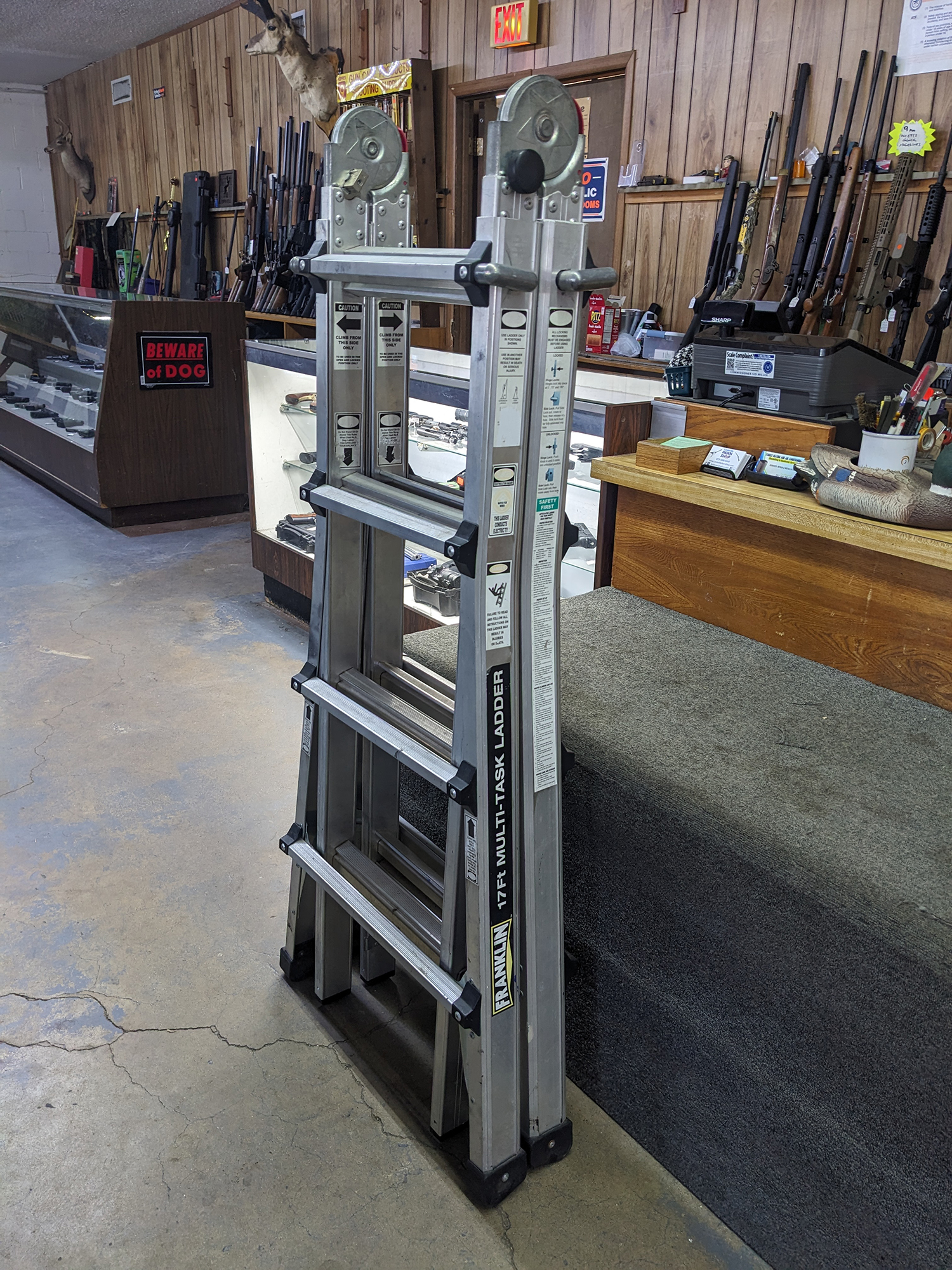 franklin 17ft ladder (2)